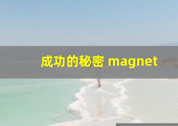 成功的秘密 magnet